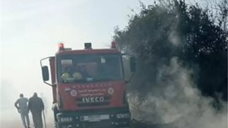 السيطرة على حريق شجر ليمون بالشهيد خيرى في الإسماعيلية ..صور