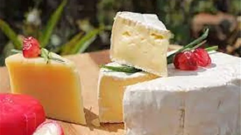 أبرز أضرار الجبن المعالج حراريا .. زيادة نسبة الكوليسترول في الدم