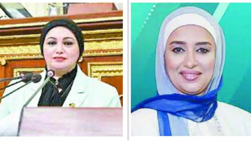 النائبات يطالبن بتمثيل الست العاملة في الخارج