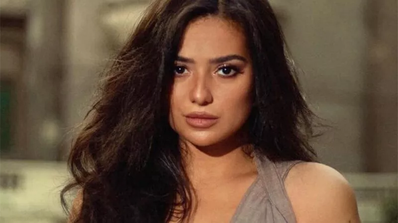 أول تعليق من ثراء جبيل عن تعاونها مع تامر حسني