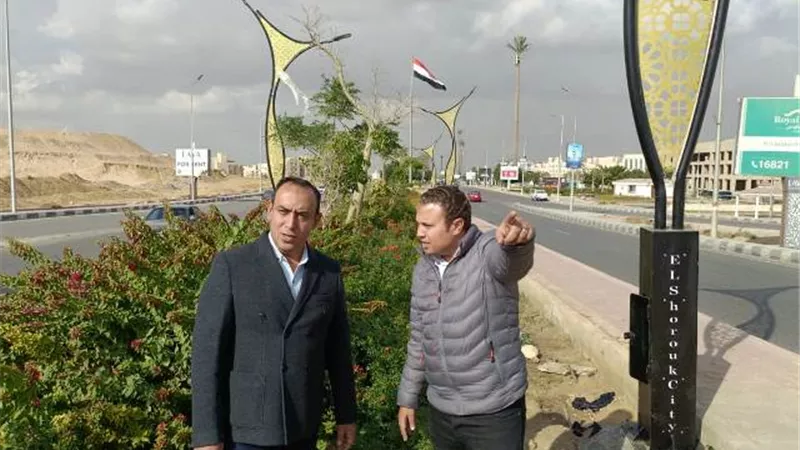 جهاز الشروق يكشف عن أحدث الأعمال الديكورية بشوارع المدينة.. صور