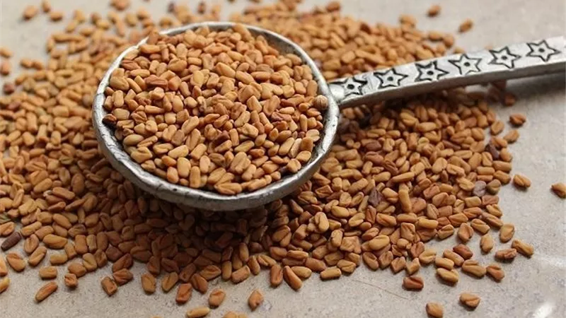 4 فوائد للشعر من بذور الحلبة ..تعرف عليها
