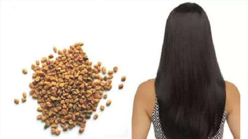 استخدامات بذور الحلبة لمنع تساقط الشعر
