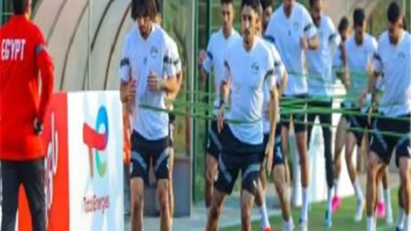 منتخب مصر: رفعنا ملاحظاتنا على أرضية الملعب للاتحاد الأفريقي