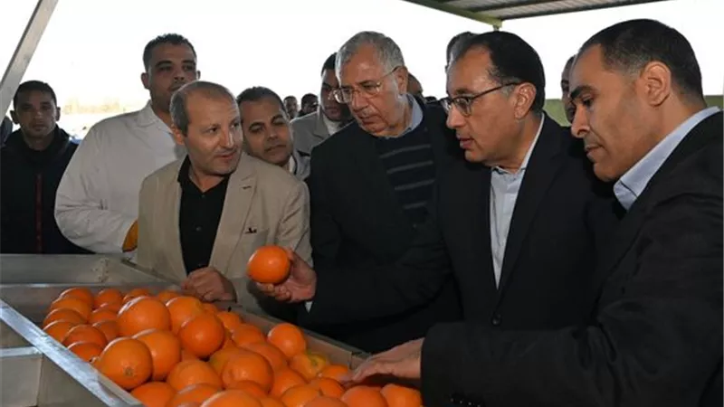 رئيس الوزراء يتفقد محطة شركة 