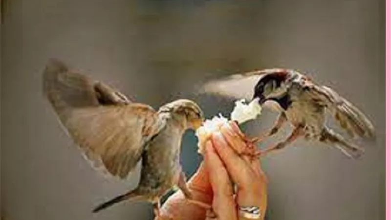تشتكى من ضيق ذات اليد عليك بتلك الاعمال فى شهر رجب ..تزيد الرزق