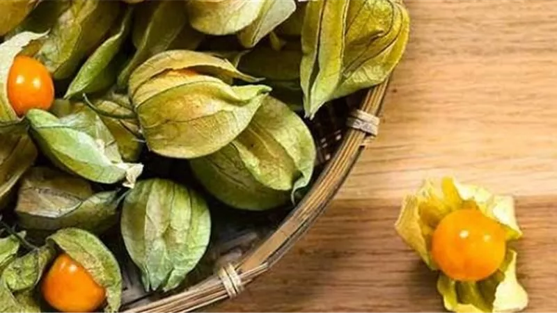 13 فائدة صحية فى الحرنكش..تعرف عليها