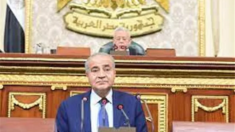 وزير التموين للنواب عن غلاء أسعار الزيوت : 97% من مكوناتها مستوردة