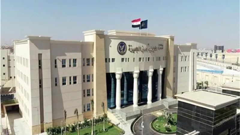 سرقوا ألماظ وذهب.. الداخلية تضبط حرامية الشقق السكنية في الجيزة
