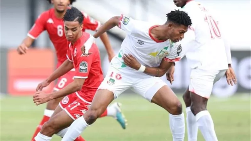 ناميبيا تهزم منتخب تونس فى افتتاح مشواره بأمم إفريقيا