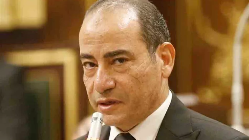 مجاهد نصار: الرئيس السيسي يدعم الصناعة وحريص على إزالة معوقاتها