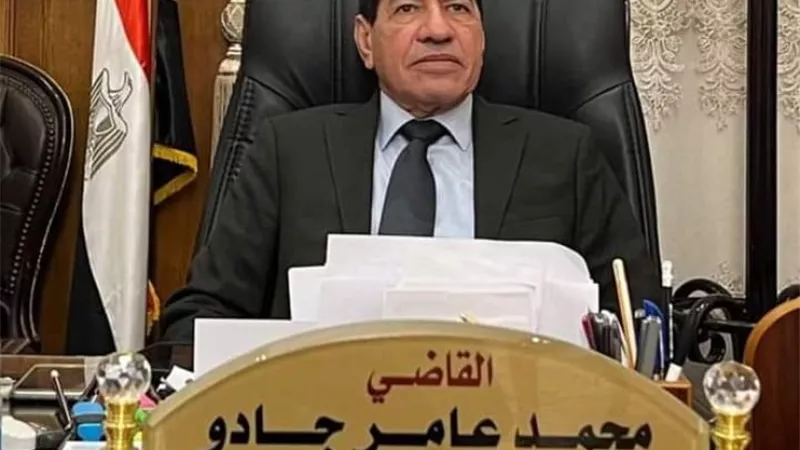 رئيس محكمة استئناف القاهرة: إنشاء 29 دائرة جنائية جديدة