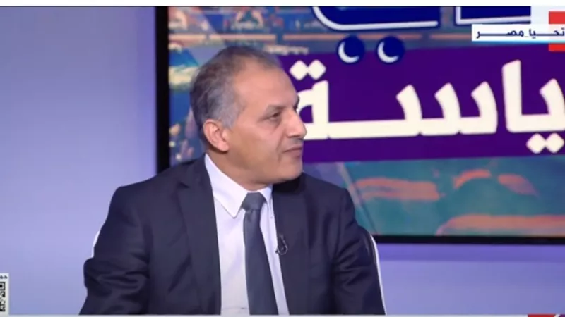 فرحات: المدخل الرئيسي لتحقيق الأمن في منطقة البحر الأحمر يمر عبر إنهاء العدوان على غزة