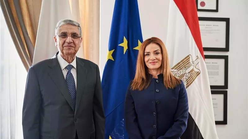 وزير الكهرباء يبحث فرص الإستثمار مع وفد من رجال الأعمال