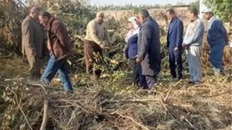 الكومبوست الجيد ..مشروع جامعة القناة لمزارعي الإسماعيلية