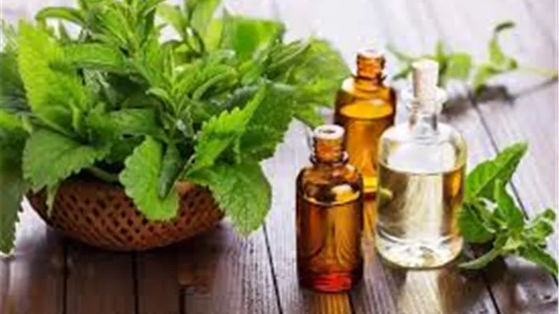 منها تحسين المزاج..تعرف على أبرز فوائد زيت البردقوش
