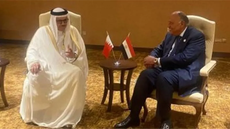 وزير الخارجية يبحث مع نظيره البحرينى دفع جهود التهدئة فى المنطقة