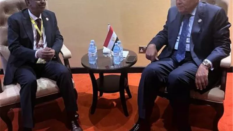 وزير الخارجية يبحث مع نظيره الجيبوتي أبرز التطورات في السودان