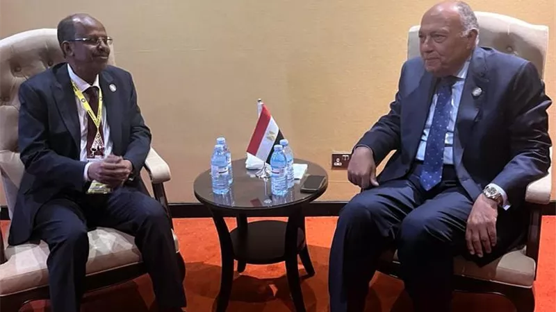 وزير الخارجية يلتقي وزير خارجية جيبوتي