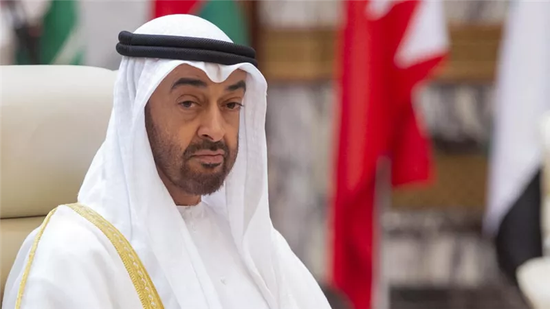 رئيس الإمارات يبحث مع زيلينسكي تطورات الأزمة الأوكرانية