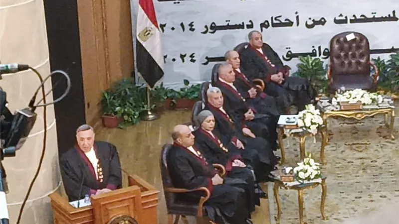 رئيس المحكمة الدستورية: دستور 2014 هو العقد الاجتماعى الذى ارتضى به الشعب