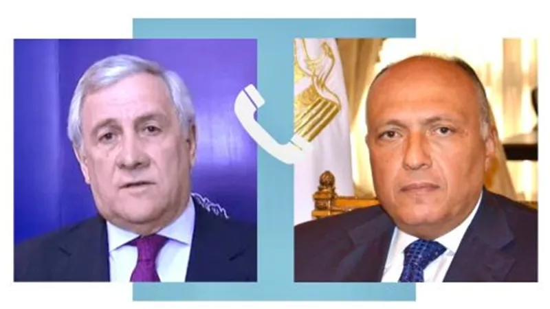 سامح شكري يتلقى اتصالاً من وزير الخارجية الإيطالي