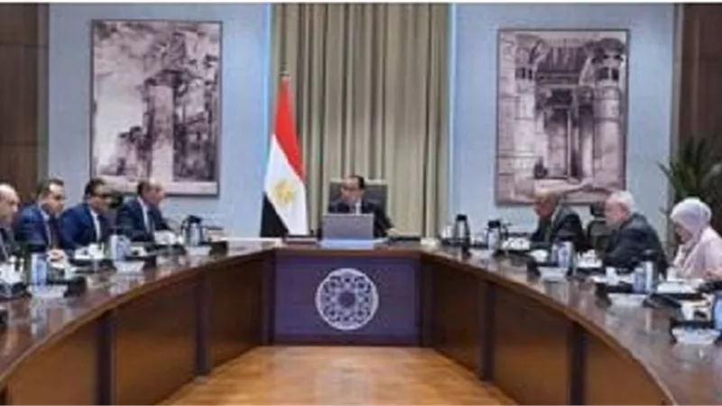 القطاع الخاص.. قاطرة تنموية للمطارات المصرية