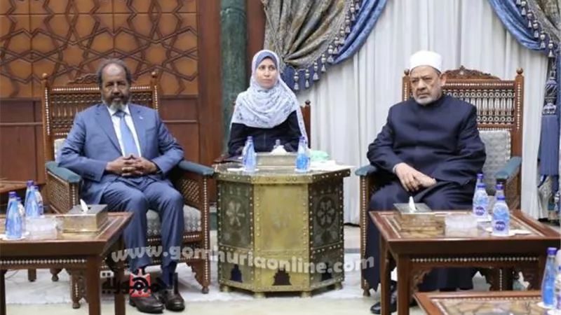الطيب: الأزهر لن يتوانى عن تقديم الدعم العلمي والدعوي للصومال