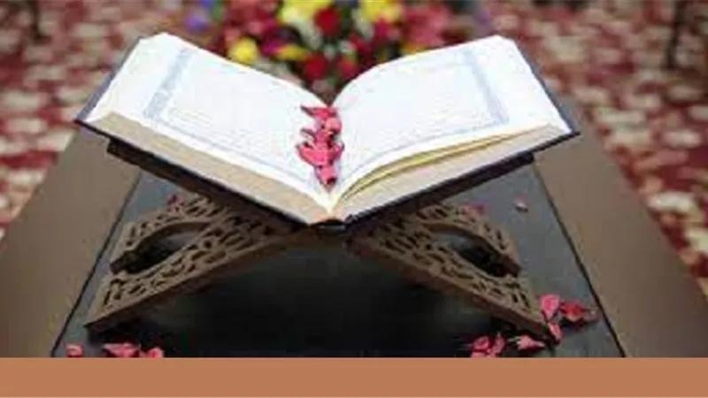 فى رحاب اية 