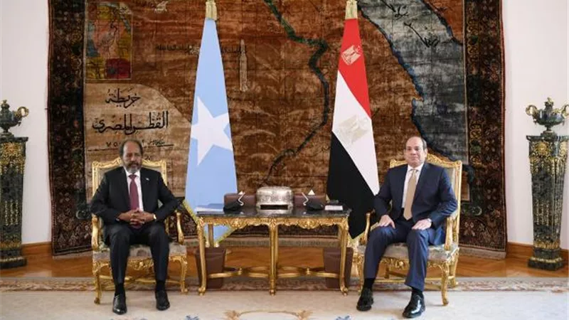 المتحدث باسم رئاسة الجمهورية ينشر صور استقبال الرئيس السيسي لنظيره الصومالي