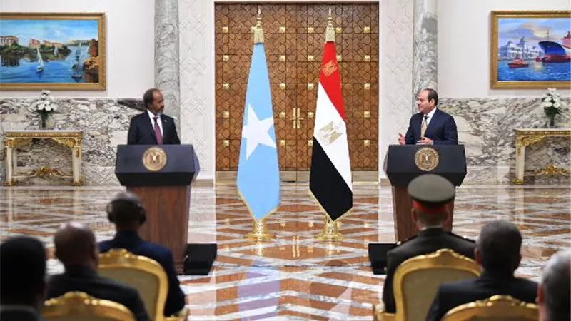 المتحدث الرئاسي ينشر صور وقائع المؤتمر الصحفي المشترك بين الرئيس السيسي ونظيره الصومالي