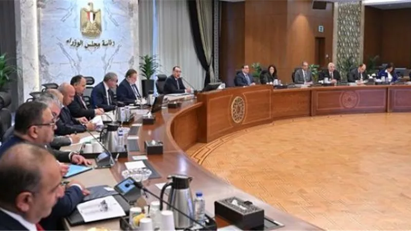 رئيس الوزراء يستعرض أبرز ملامح خطة العمل المقترحة لتنمية الصادرات المصرية