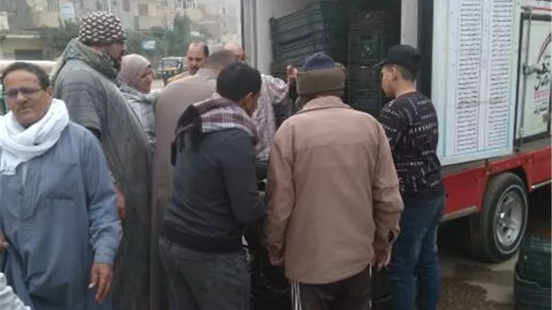 محافظ كفرالشيخ: إقبال كبير على شراء الأسماك الحية المطروحة ببيلا