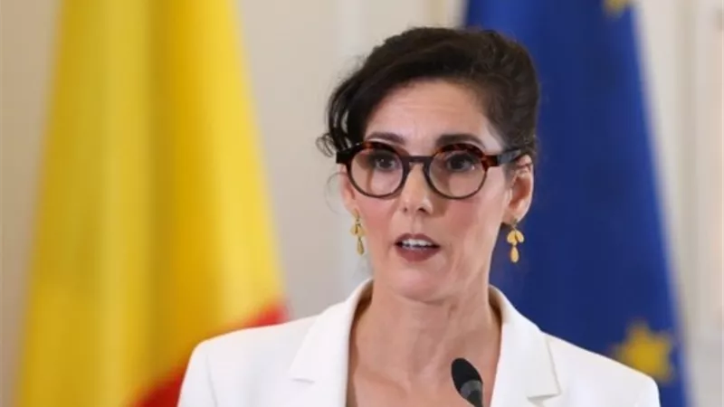 بلجيكا: الصراع في غزة لن يحل بالسلاح ويجب إنهاء العنف