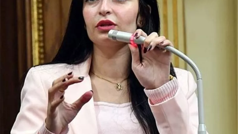 طلب إحاطة بشأن محاور خطة 