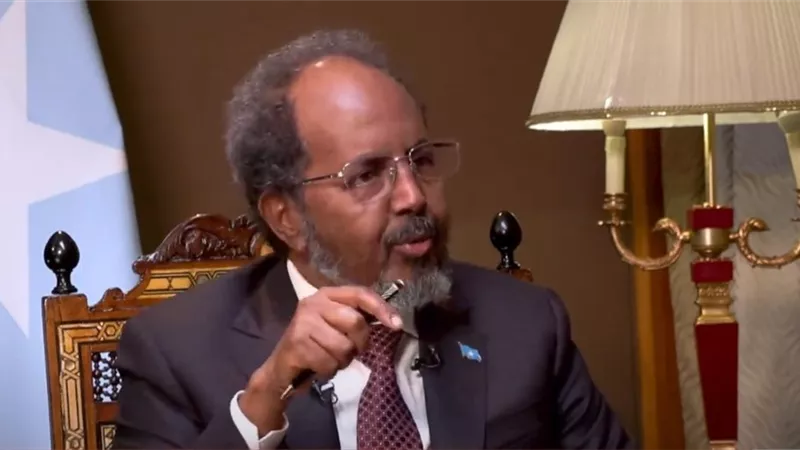 رئيس الصومال : علاقتنا مع مصر لا تمثل تهديدا لأي طرف آخر
