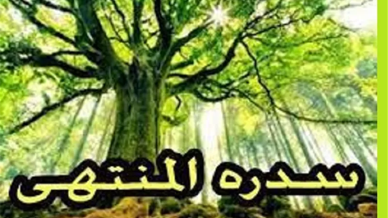 مع اقتراب ذكرى الاسراء والمعراج..ماذا تعرف عن سدرة المنتهى