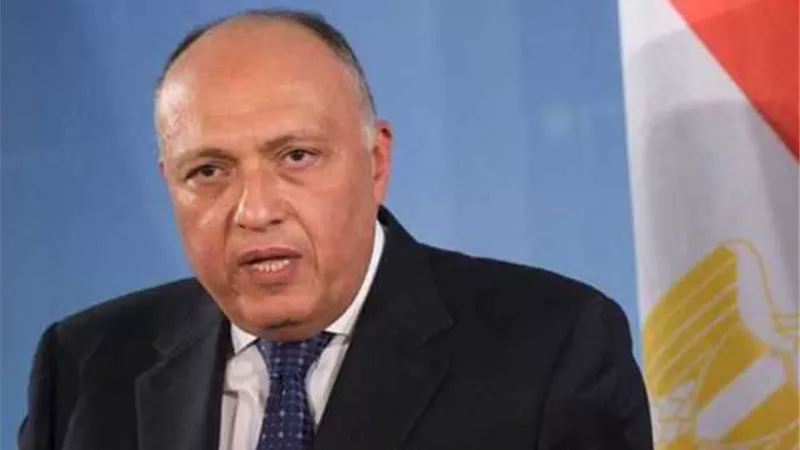 شكري يجتمع مع نظيره القبرصي في بروكسل