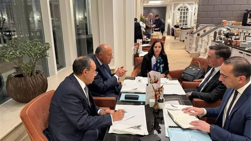 شكرى يلتقي برئيس لجنة العلاقات الخارجية بالبرلمان الأوروبى