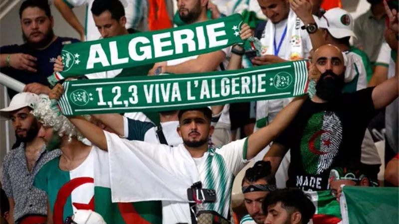 إبراهيم عبد الجواد: جمهور الجزائر لايستحق الخروج بهذا الشكل..شاهد