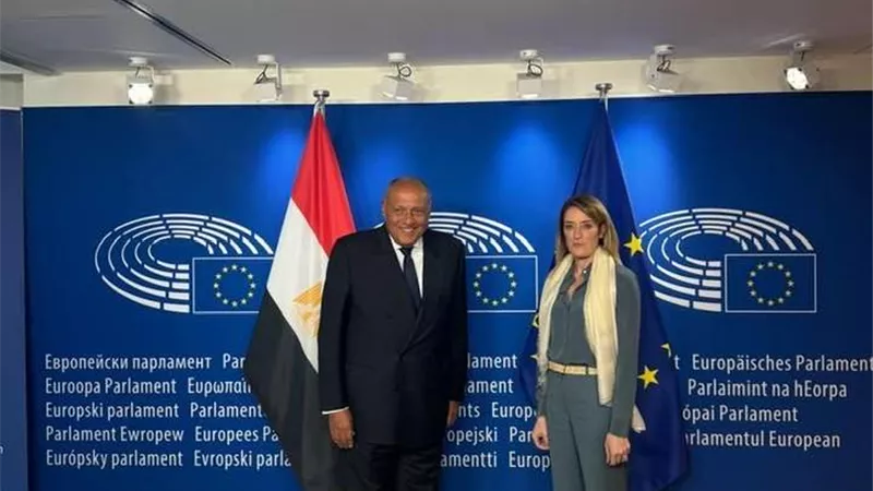 شكري يؤكد أهمية تعزيز الحوار البناء بين مصر والبرلمان الأوروبي