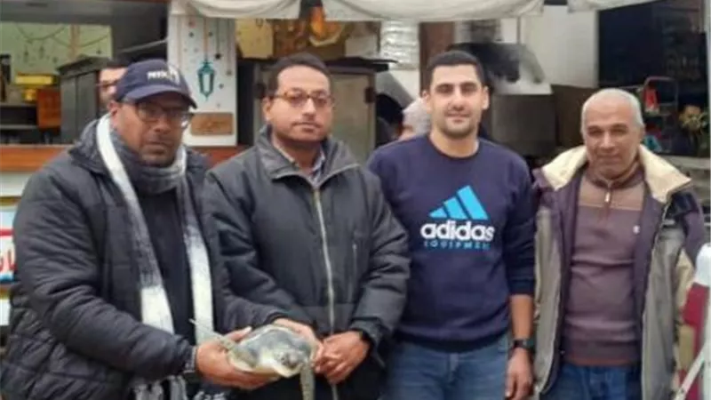 إنقاذ سلحفاة خضراء مهددة بالإنقراض بمدينة رأس البر بدمياط