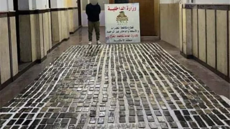 بـ7,7 مليون جنيه.. ضبط 1100 طربة حشيش بالإسكندرية