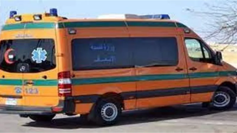 مصرع 5 أشخاص من أسرة واحدة في انقلاب سيارة بالشرقية