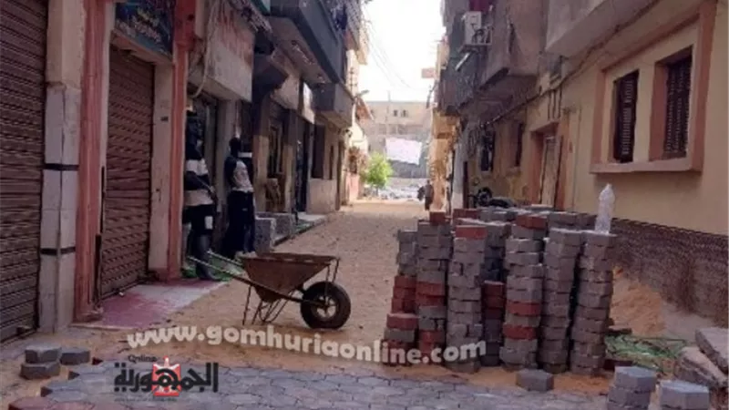 رصف وتطوير ورفع كفاءة الشوارع الداخلية بمراكز الشرقية