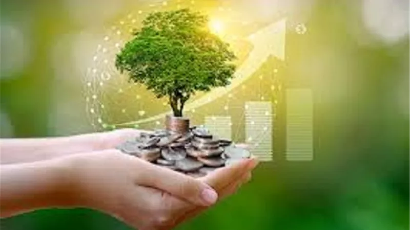 أستاذ استثمار: الهدف من المشروعات القومية هو خدمة مناخ الاستثمار