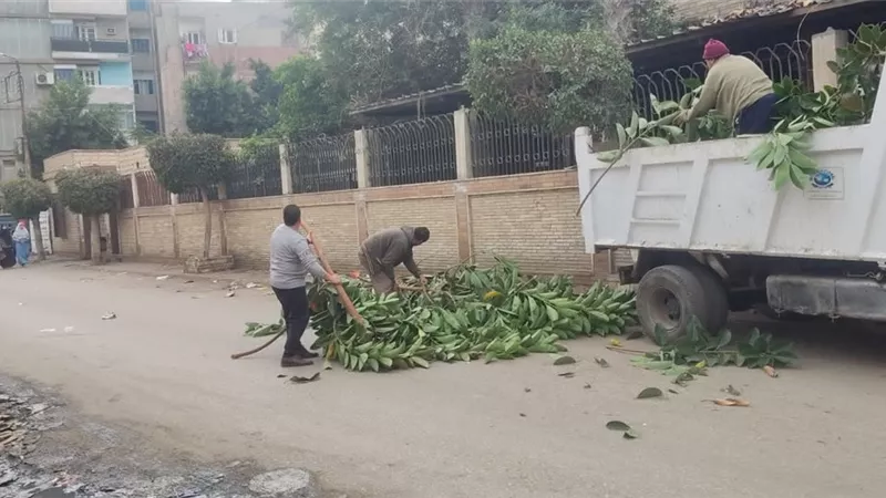 حملة نظافه بالمنصورة