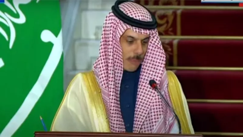 وزير خارجية السعودية: ما يحدث بالمنطقة يثبت أهمية استقرار العلاقات بين المملكة ومصر