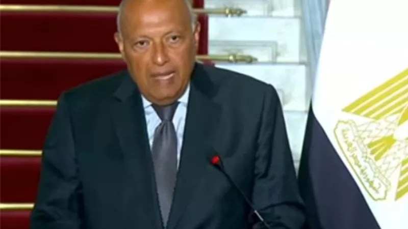 شكري يؤكد أهمية المشاورات المصرية السعودية في ضوء التطورات بالمنطقة