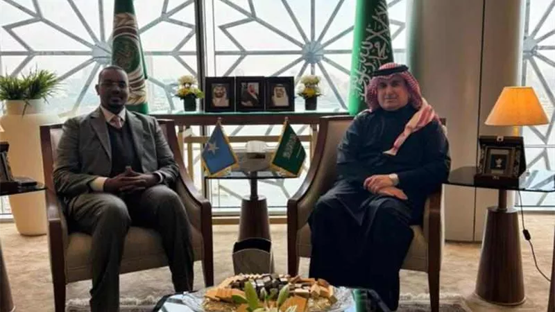 مندوب السعودية لدى الجامعة العربية يستقبل نظيره الصومالي